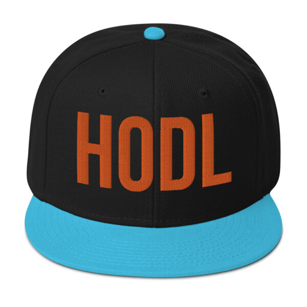 HOLD Embroidered BTC Themed Snapback Hat - Image 16