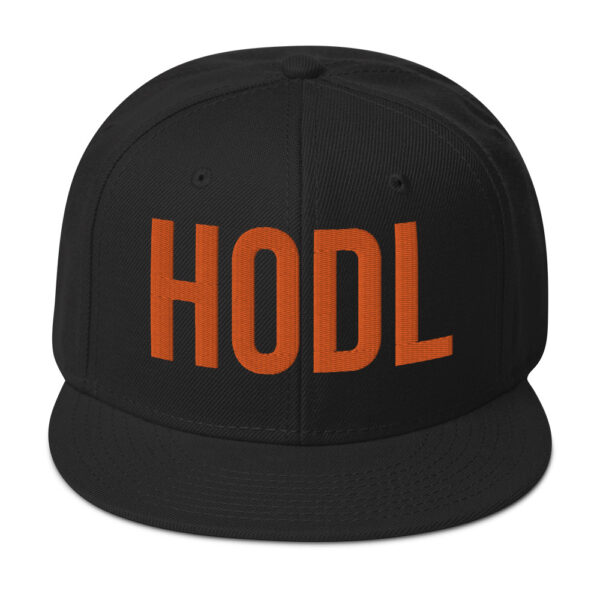 HOLD Embroidered BTC Themed Snapback Hat - Image 6