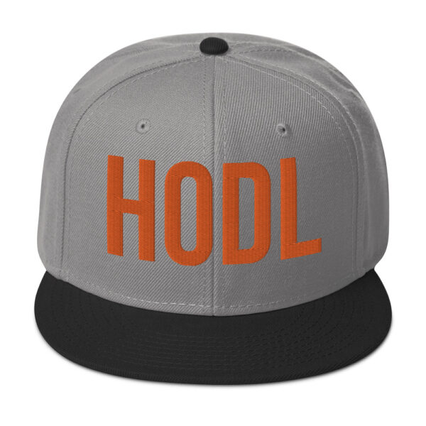 HOLD Embroidered BTC Themed Snapback Hat - Image 33