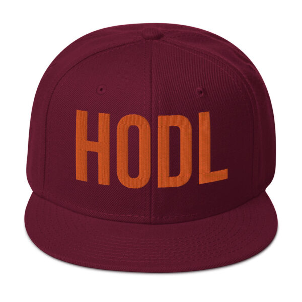 HOLD Embroidered BTC Themed Snapback Hat - Image 20