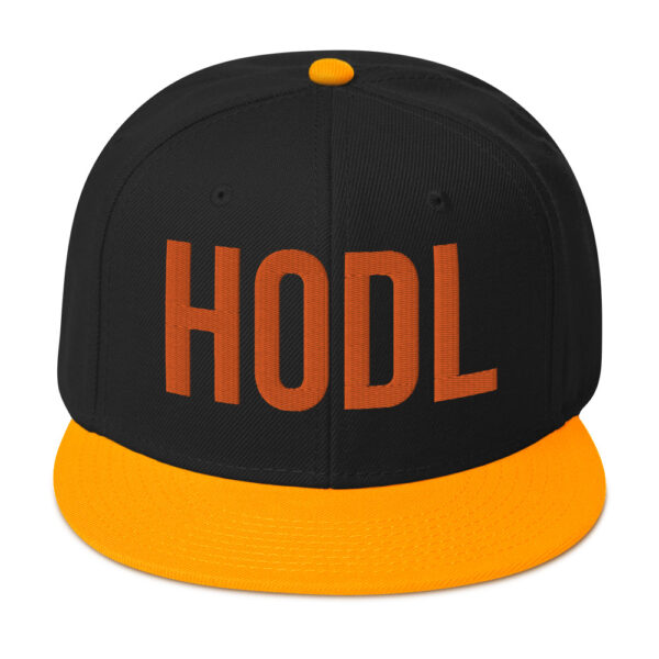 HOLD Embroidered BTC Themed Snapback Hat - Image 18