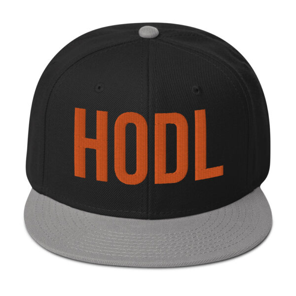 HOLD Embroidered BTC Themed Snapback Hat - Image 14