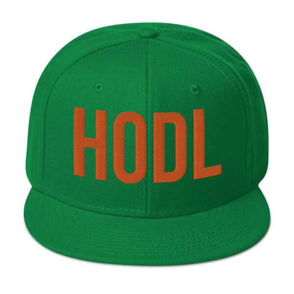 HOLD Embroidered BTC Themed Snapback Hat - Image 31