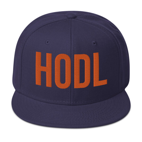 HOLD Embroidered BTC Themed Snapback Hat - Image 22