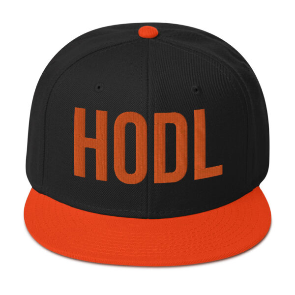 HOLD Embroidered BTC Themed Snapback Hat - Image 12