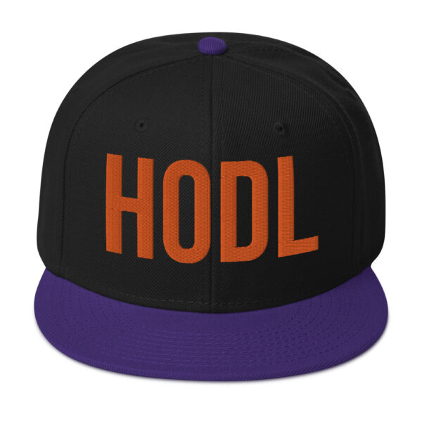 HOLD Embroidered BTC Themed Snapback Hat - Image 8