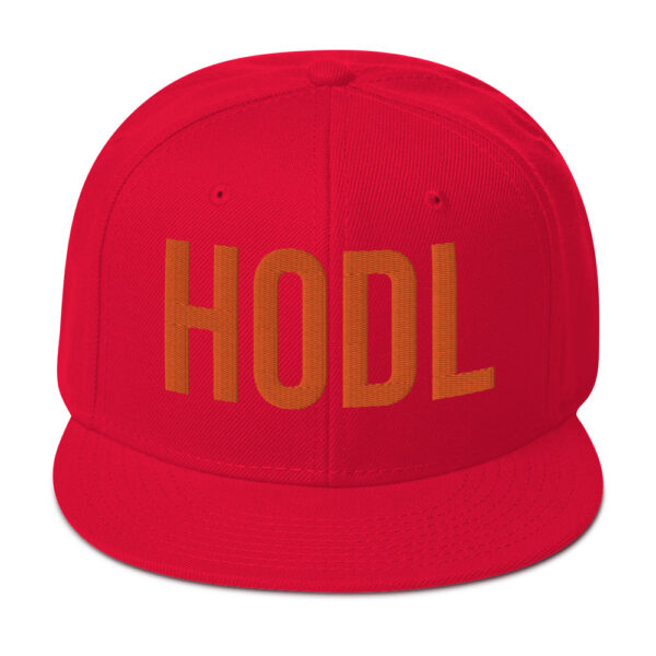 HOLD Embroidered BTC Themed Snapback Hat - Image 26